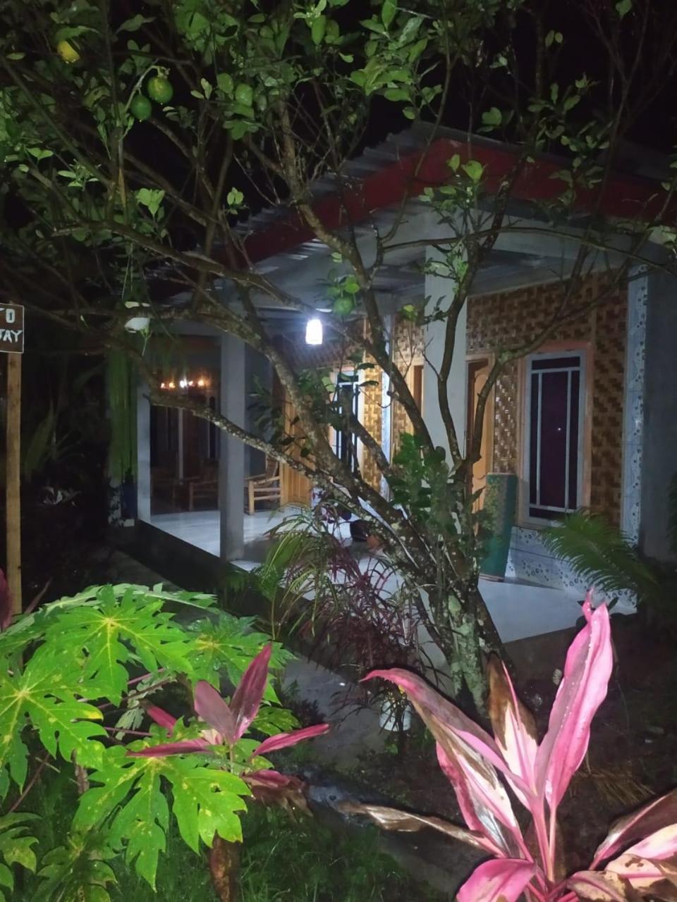Eltari Homestay Тетебату Экстерьер фото